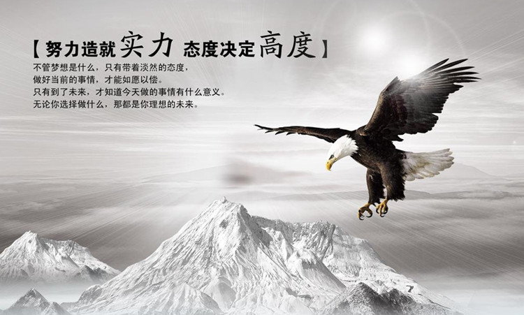 Lexin公司的企业文化:努力造就实力,态度决定高度