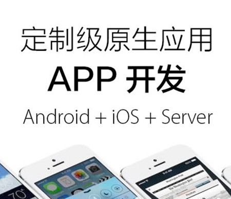 原生应用APP开发